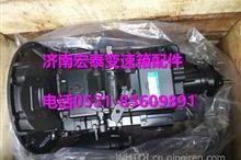 国产17p,引领科技潮流的创新之作