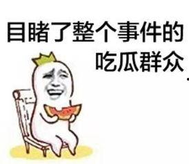 吐槽娱乐圈吃瓜群众,揭秘明星背后的真相与八卦